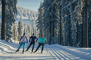 Skifahren am Lusen